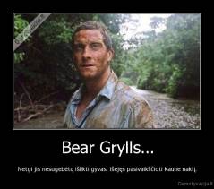 Bear Grylls... - Netgi jis nesugebėtų išlikti gyvas, išėjęs pasivaikščioti Kaune naktį.