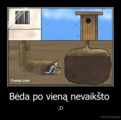 Bėda po vieną nevaikšto  - ;D