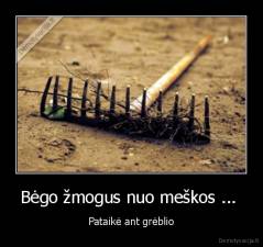 Bėgo žmogus nuo meškos ...  - Pataikė ant grėblio