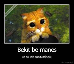 Bekit be manes - As su jais susitvarkysiu