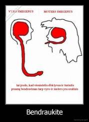 Bendraukite - 