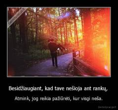 Besidžiaugiant, kad tave nešioja ant rankų,  - Atmink, jog reikia pažiūrėti, kur visgi neša.