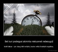 Bet kuri prabėgusi akimirka niekuomet nebesugrįš - todėl laikas – per daug didi vertybė, kurios veltui švaistyti negalima.