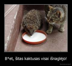 B*et, šitas kaktusas visai išnaglėjo! - 