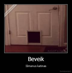 Beveik - Išmanus katinas