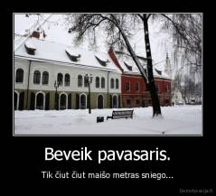 Beveik pavasaris. - Tik čiut čiut maišo metras sniego...