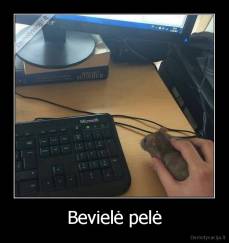 Bevielė pelė - 
