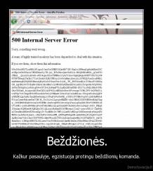 Beždžionės. - Kažkur pasaulyje, egzistuoja protingu beždžionių komanda.