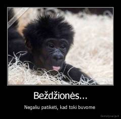 Beždžionės... - Negaliu patikėti, kad toki buvome 