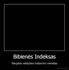 Bibienės Indeksas - Naujasis valstybės matavimo vienetas