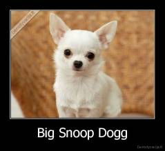Big Snoop Dogg - 