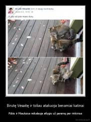 Birutę Vėsaitę ir toliau atakuoja benamiai katinai - Pūkis ir Miauksius reikalauja atlygio už paramą per rinkimus