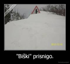 "Biški" prisnigo. - 