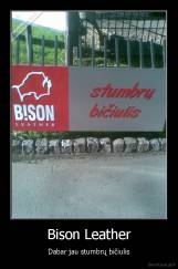 Bison Leather - Dabar jau stumbrų bičiulis
