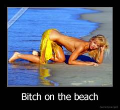 Bitch on the beach - 