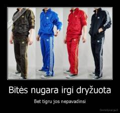 Bitės nugara irgi dryžuota - Bet tigru jos nepavadinsi