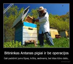 Bitininkas Antanas pigiai ir be operacijos - Gali padidinti jums lūpas, krūtis, sėdmenis, bei kitas kūno dalis..