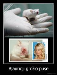 Bjaurioji grožio pusė - 