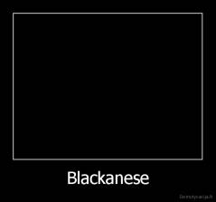 Blackanese - 