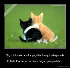 Blogai būna ne tada kai pagalba draugui nebepadeda - O tada kai nebežinai kaip begali jam padėti...