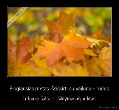 Blogiausias metas išsiskirti su vaikinu - ruduo - Ir lauke šalta, ir šildymas išjunktas