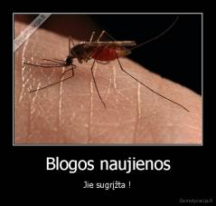 Blogos naujienos - Jie sugrįžta !