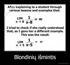 Blondinių išmintis - 