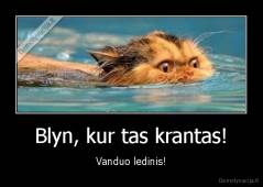 Blyn, kur tas krantas! - Vanduo ledinis!