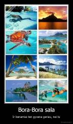 Bora-Bora sala - Ir benamiai ten gyvena geriau, nei tu