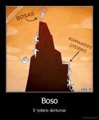 Boso - Ir lyderio skirtumai