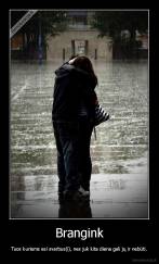 Brangink - Tuos kuriems esi svarbus(i), nes juk kita diena gali jų ir nebūti.