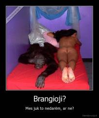 Brangioji? - Mes juk to nedarėm, ar ne?