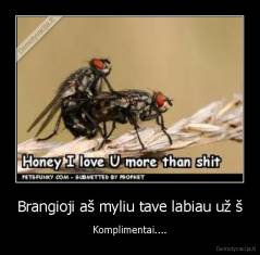 Brangioji aš myliu tave labiau už š - Komplimentai....