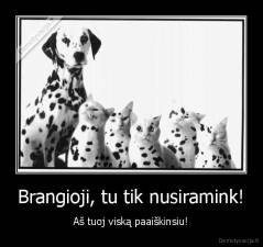 Brangioji, tu tik nusiramink! - Aš tuoj viską paaiškinsiu!