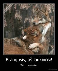 Brangusis, aš laukiuosi! - Tai .... nuostabu