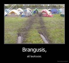 Brangusis, - aš laukiuosi.