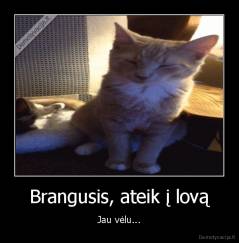 Brangusis, ateik į lovą - Jau vėlu...