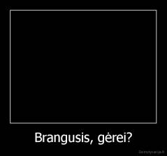 Brangusis, gėrei? - 
