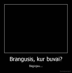 Brangusis, kur buvai? - Bėgiojau...