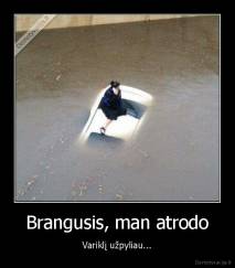 Brangusis, man atrodo - Variklį užpyliau...