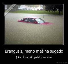 Brangusis, mano mašina sugedo - Į karbiuratorių pateko vanduo