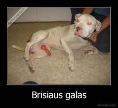 Brisiaus galas - 