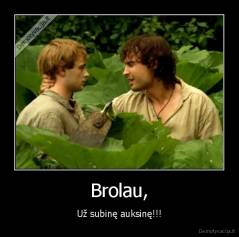 Brolau, - Už subinę auksinę!!!