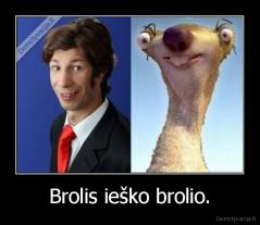 Brolis ieško brolio. - 