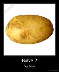 Bulvė 2 - Sugrįžimas