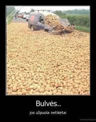 Bulvės.. - jos užpuola netikėtai