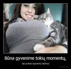 Būna gyvenime tokių momentų, - kai puikiai suprantu katinus