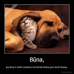 Būna, - jog šunys ir katės nesutaria, bet kartais tiesiog gera turėti draugą.