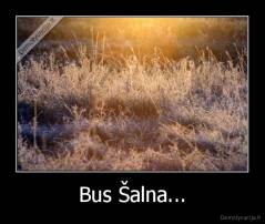Bus Šalna... - 