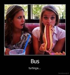 Bus - turtinga...